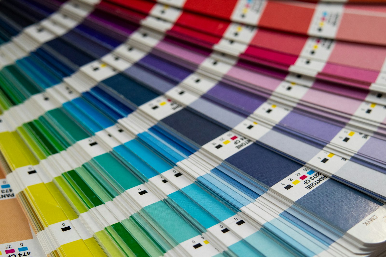 Color swatches spread out on a surface